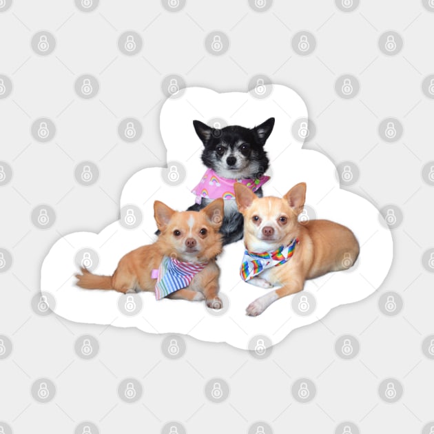 Trio Sticker by BarkPink